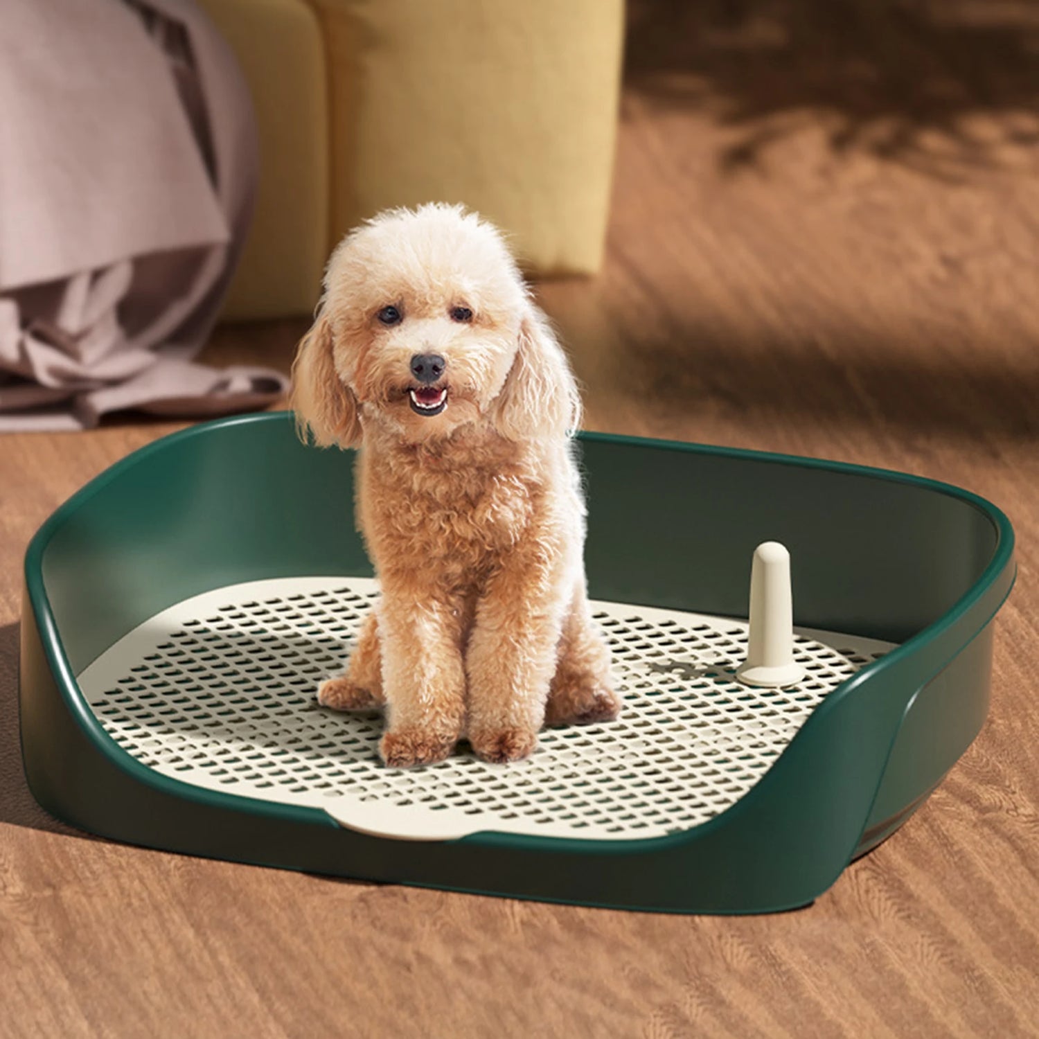 S340a272a507e4a6a9f54cd0c35d736ade - bestdoggylife.shop