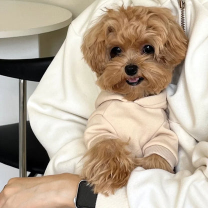 Fashion Dog Hoodies Comfortable Pet Clothes for Small Dogs Soft Sweatshirt Puppy Outdoor Yorkshire Chihuahua Costume Pet Supply