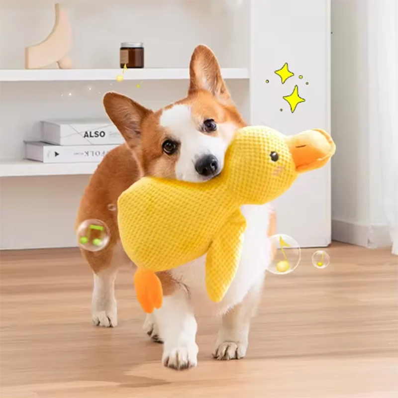 Corgi puppy playing with yellow bite resistant dog plush toy duck indoors for interactive chewing and boredom relief