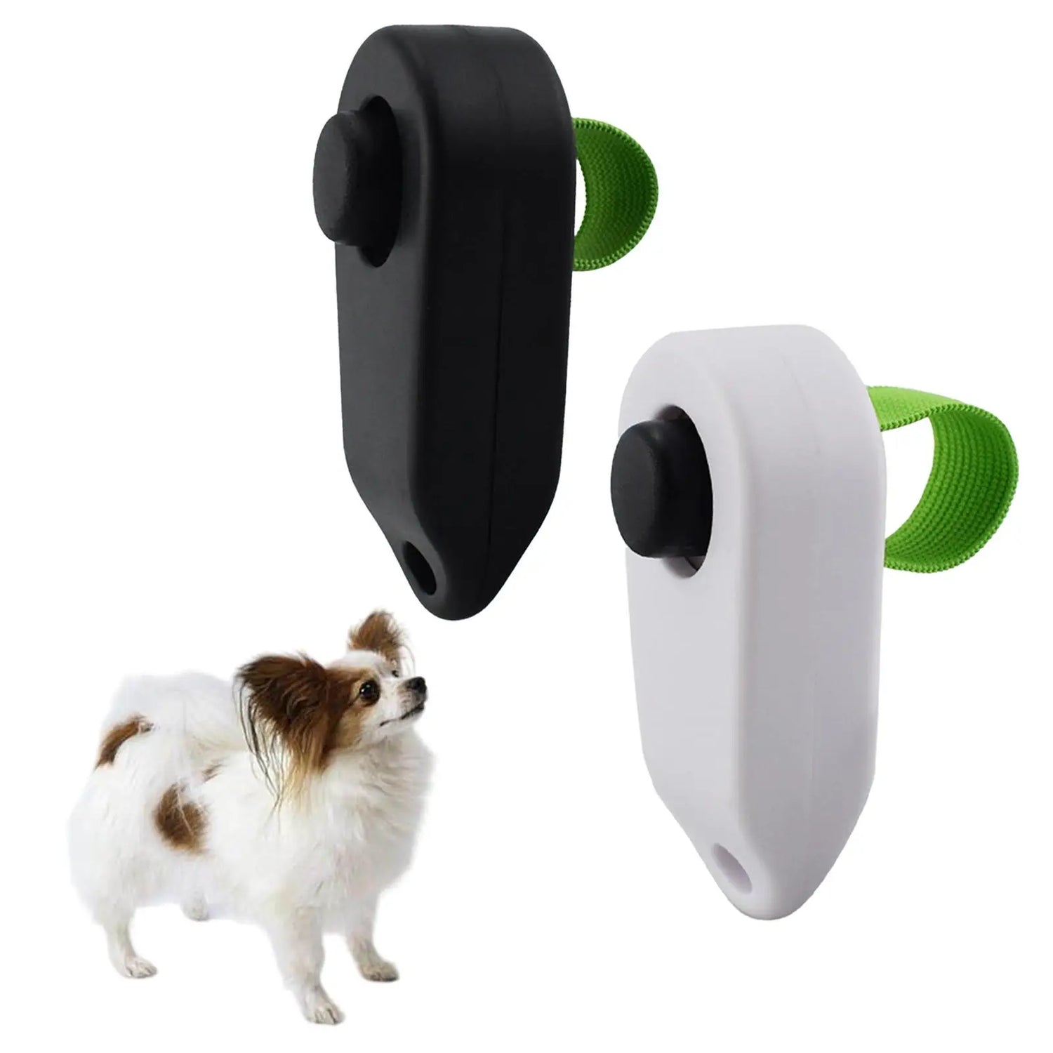 Dog training clickers in black and white with green straps shown beside a small dog