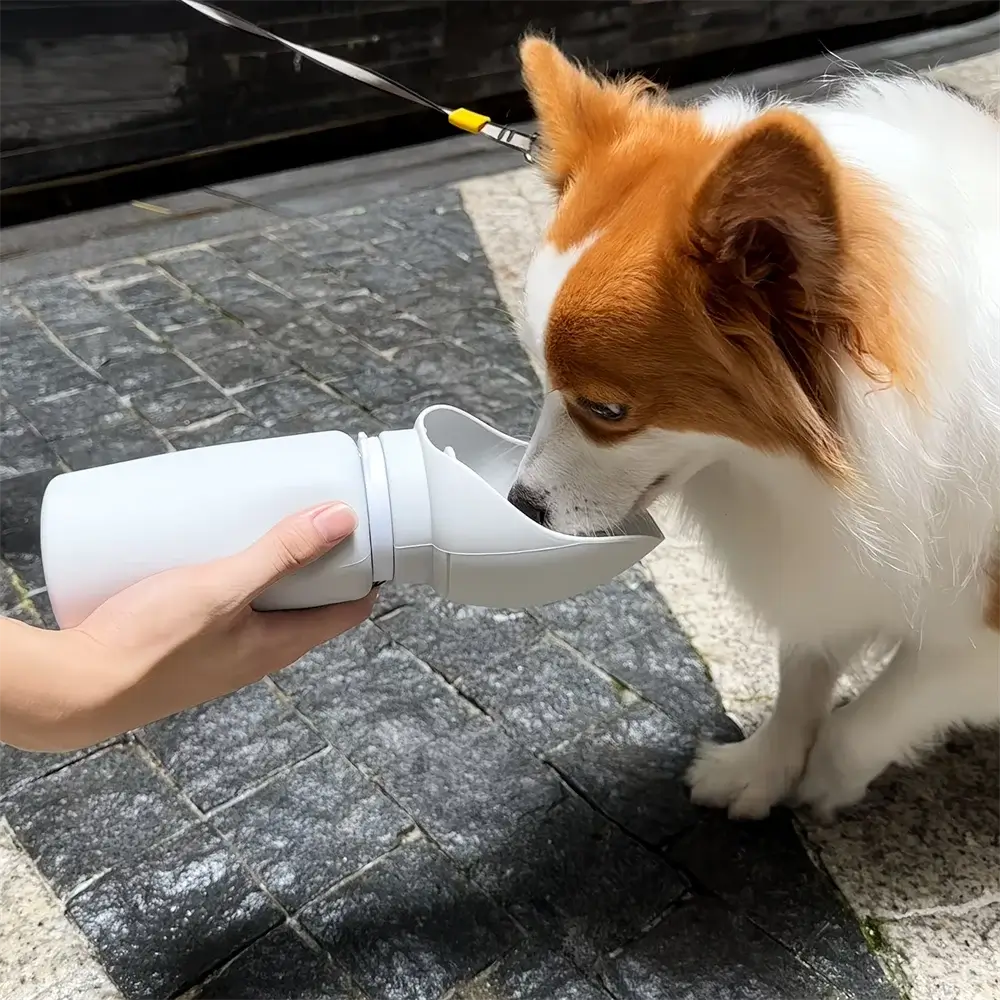 Portable dog water bottle for outdoor walks, leak proof, foldable silicone design, durable and safe, 550ml pet travel hydration cup