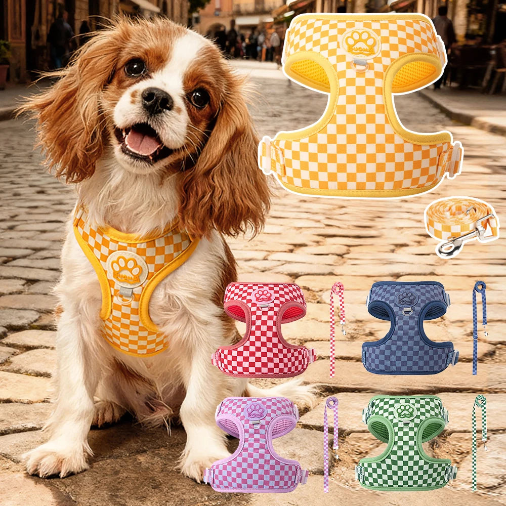 Plaid dog harness and leash set with soft padded adjustable vest for small dogs and cats, cute walking gear