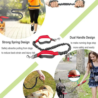 S36c786a60b454a5e8152affdecbd30613 - bestdoggylife.shop