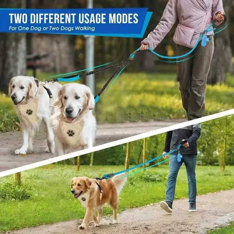 Dual dog leash with hands-free design shown walking one and two large dogs outdoors