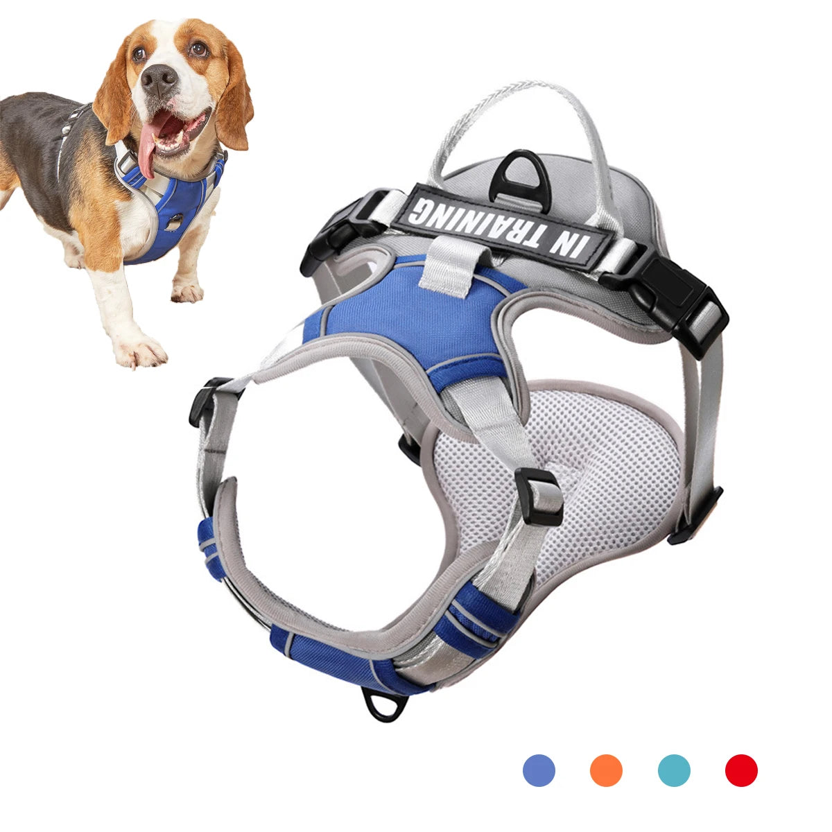 S376b169ca61e47f3a79037af7b5c42fdy - bestdoggylife.shop