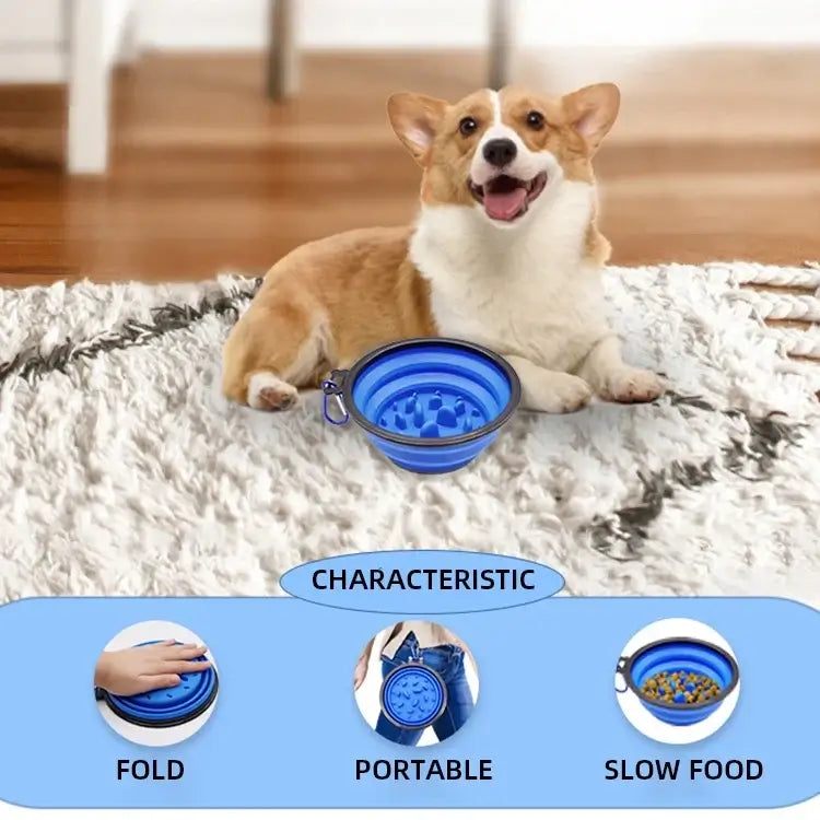 Foldable slow feeder bowl for dogs and cats portable anti-choking feeding bowl with corgi indoors