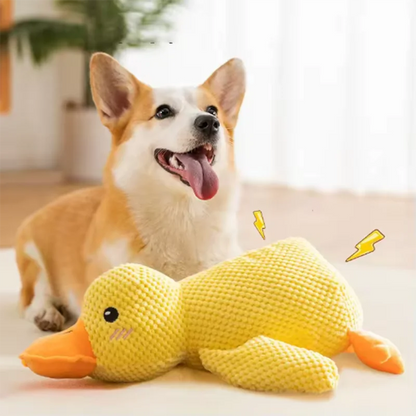Corgi playing with yellow duck bite resistant dog plush toy for chewing, teeth cleaning, and interactive boredom relief