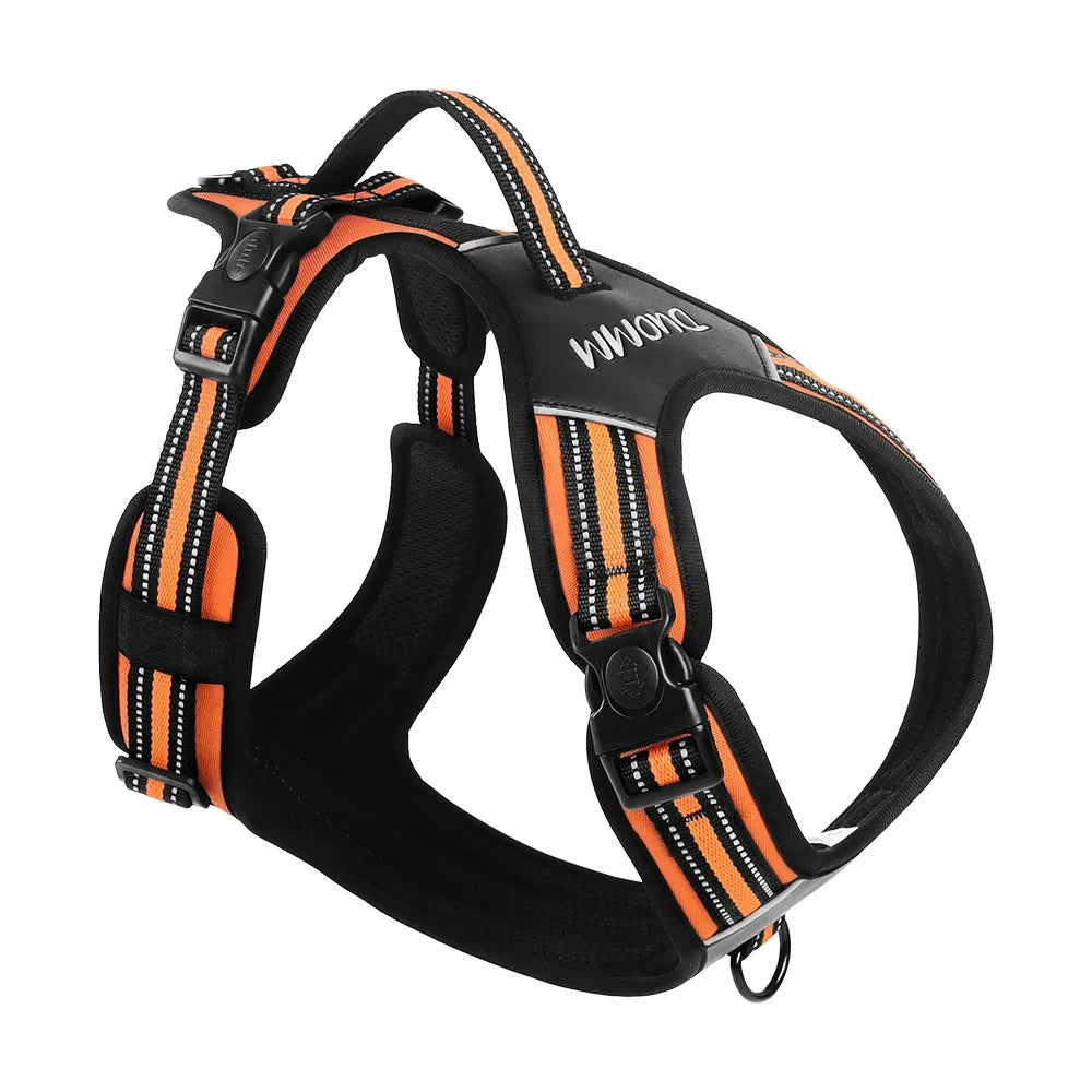 S384f776170884a148b19f829de77670bQ - bestdoggylife.shop