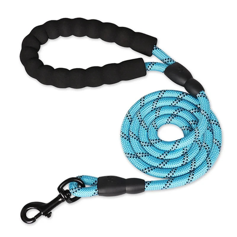 S387ed42dd9b74af492d44912e5df95b8K - bestdoggylife.shop