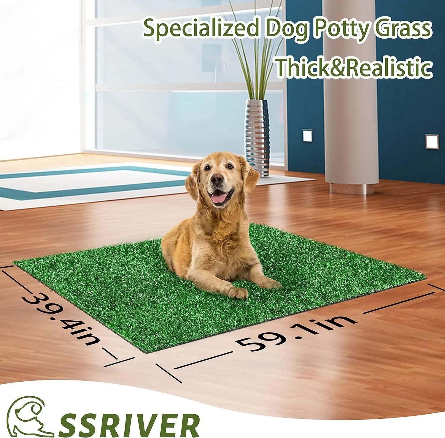 S389692c95bfb4666bfcaade053b2d6eb6 - bestdoggylife.shop