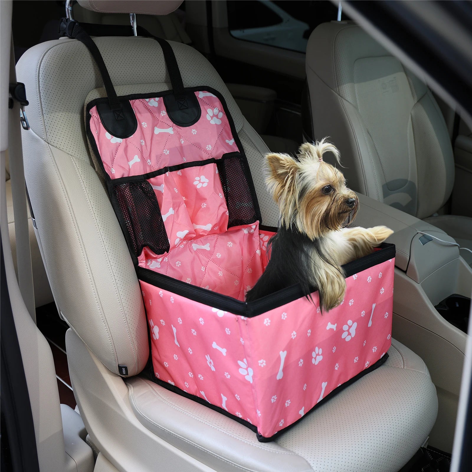 S3928c0e8903a41fe9b81233bca9667beV - bestdoggylife.shop