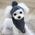Small white dog wearing a gray knit hat with pom-pom, cozy dog winter accessory
