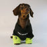 S3959ce0426354cd2b1ac1532f06e8beci - bestdoggylife.shop
