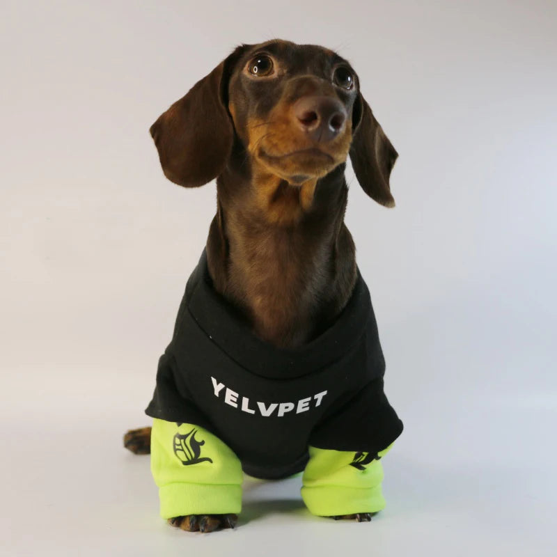 S3959ce0426354cd2b1ac1532f06e8beci_47629505-5158-4428-8791-f52215e7cde8 - bestdoggylife.shop