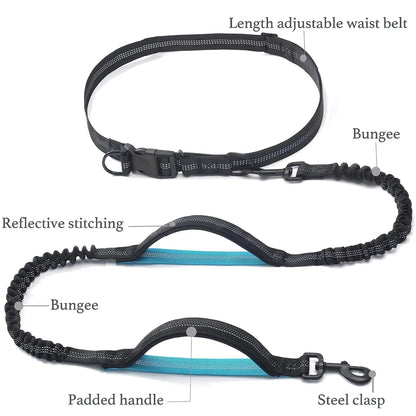 S395b92d30c3e4a9a9156f3c5810c26bbA - bestdoggylife.shop
