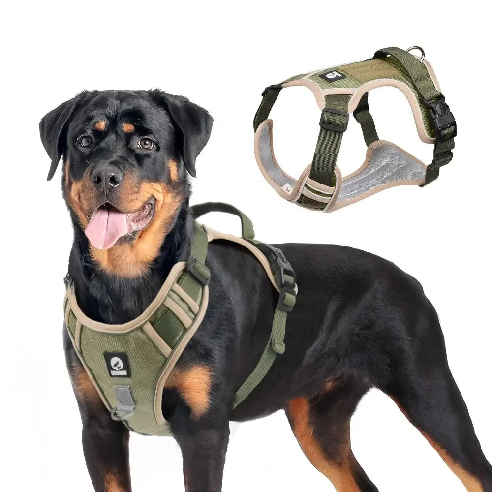 adjustable reflective dog harness for Labrador, olive vest style with buckle closure, comfortable nylon training harness