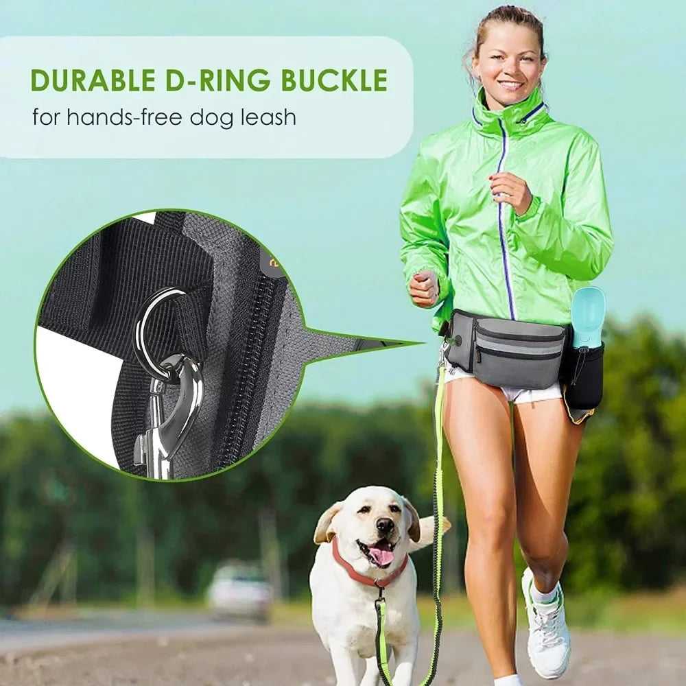 Woman jogging with hands-free dog leash belt, running with happy Labrador outdoors