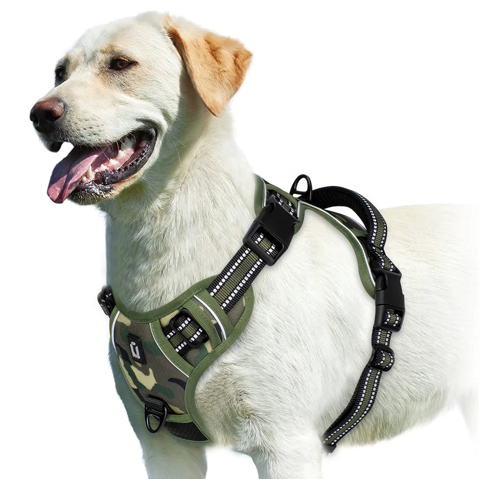 S399536c8e5a14ab0bc067ea2065e5e56n - bestdoggylife.shop