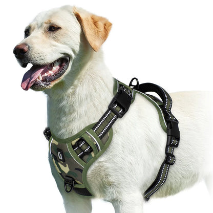 S399536c8e5a14ab0bc067ea2065e5e56n - bestdoggylife.shop