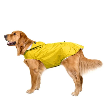 Golden Retriever wearing yellow dog raincoat on white background
