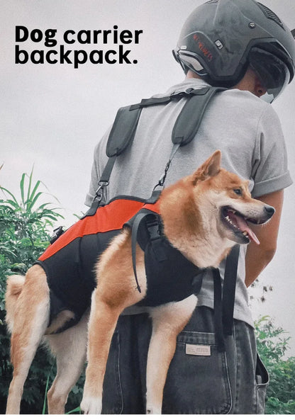 Dog backpack carrier for hiking and biking with belly support, breathable secure fit for medium dogs on outdoor rides.
