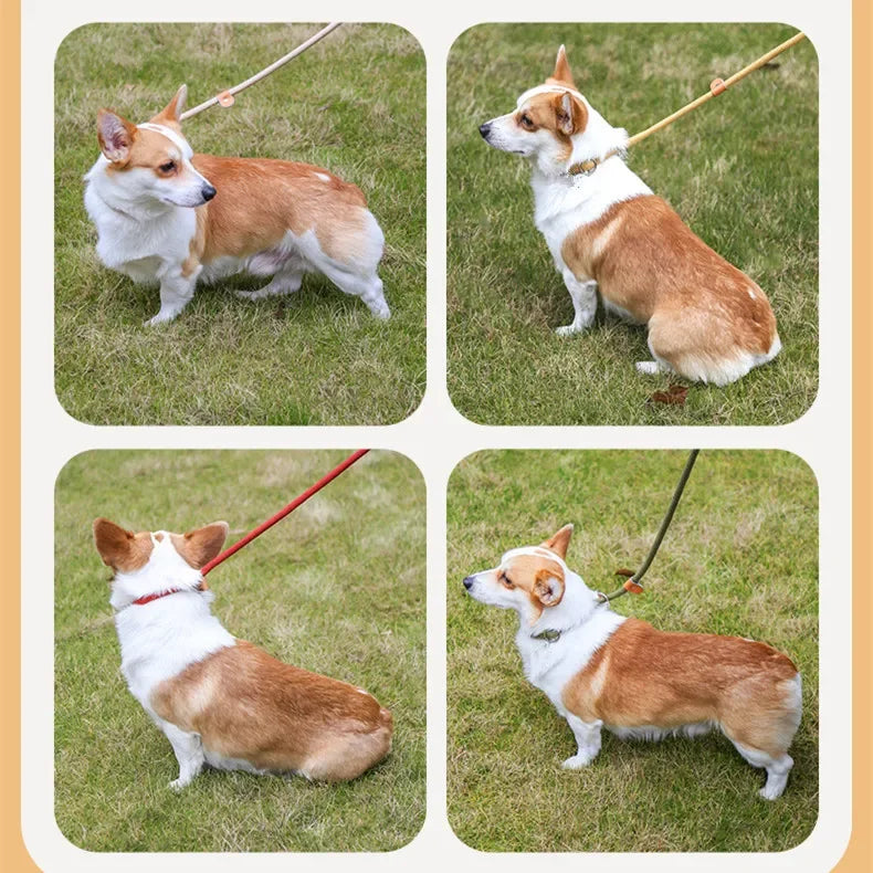 S39f5340071854456be0db26aece79e86S - bestdoggylife.shop