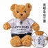 plush football player toy Haaland teddy bear doll in Manchester City kit, Etihad Airways shirt, 10 cm