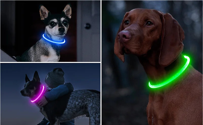 S3acc0ed5643c4d89ad020f500c60e76d1 - bestdoggylife.shop
