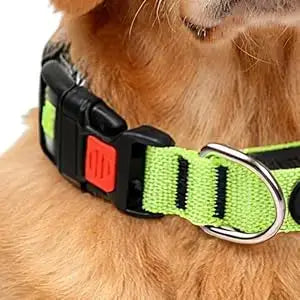 USB rechargeable LED dog collar with neon green adjustable nylon strap for small and medium dogs, safety light up night collar