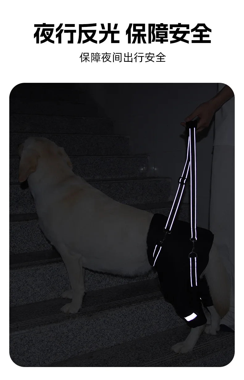 S3c4382c8bd324645a6b6f441bf801b21p - bestdoggylife.shop