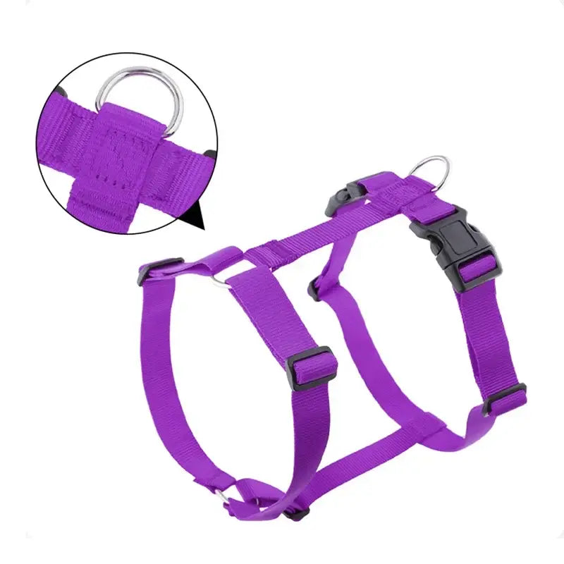 Purple adjustable dog harness with H-shaped design, lightweight nylon, buckle closure, and metal D-ring for outdoor walking and travel