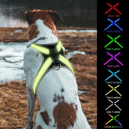 LED dog harness for night safety, rechargeable 8-color flashing light-up vest for dogs