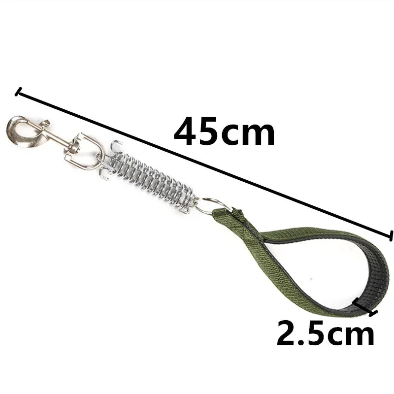 Green durable dog leash for large dogs with spring coil and 45cm nylon rope, 2.5cm wide