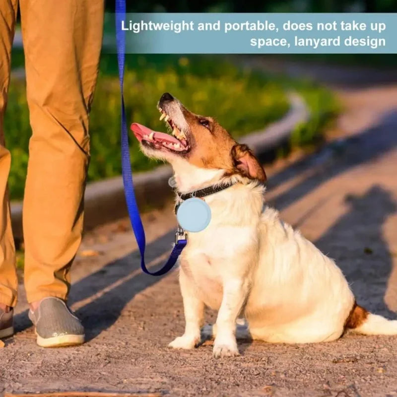 S3d335737712147a98f8c3af0cd484677A - bestdoggylife.shop