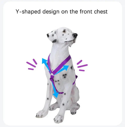 Adjustable dog harness with Y-shaped front chest design, lightweight washable nylon H-shaped harness for dogs