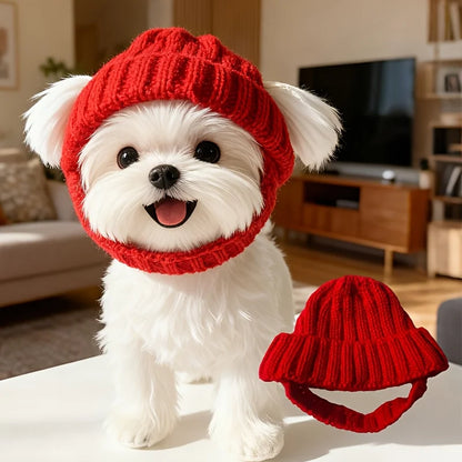 S3e8b736056a84207935dfdb68de16e5fZ - bestdoggylife.shop