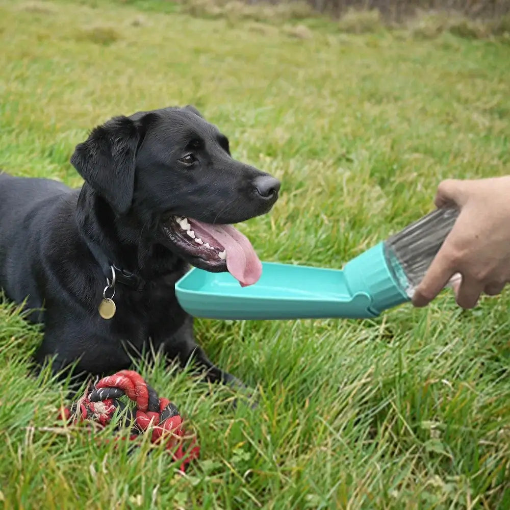 portable dog water bottle dispenser for outdoor hiking and travel, foldable dog drinking bowl for small and large dogs