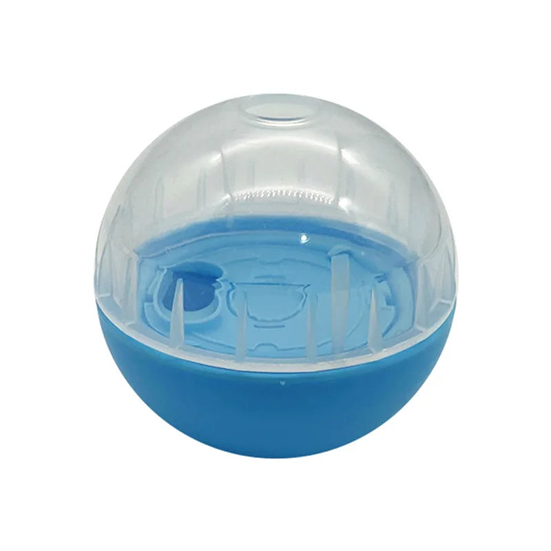 S3efc484926f74fb4abd2b52117174c07n - bestdoggylife.shop