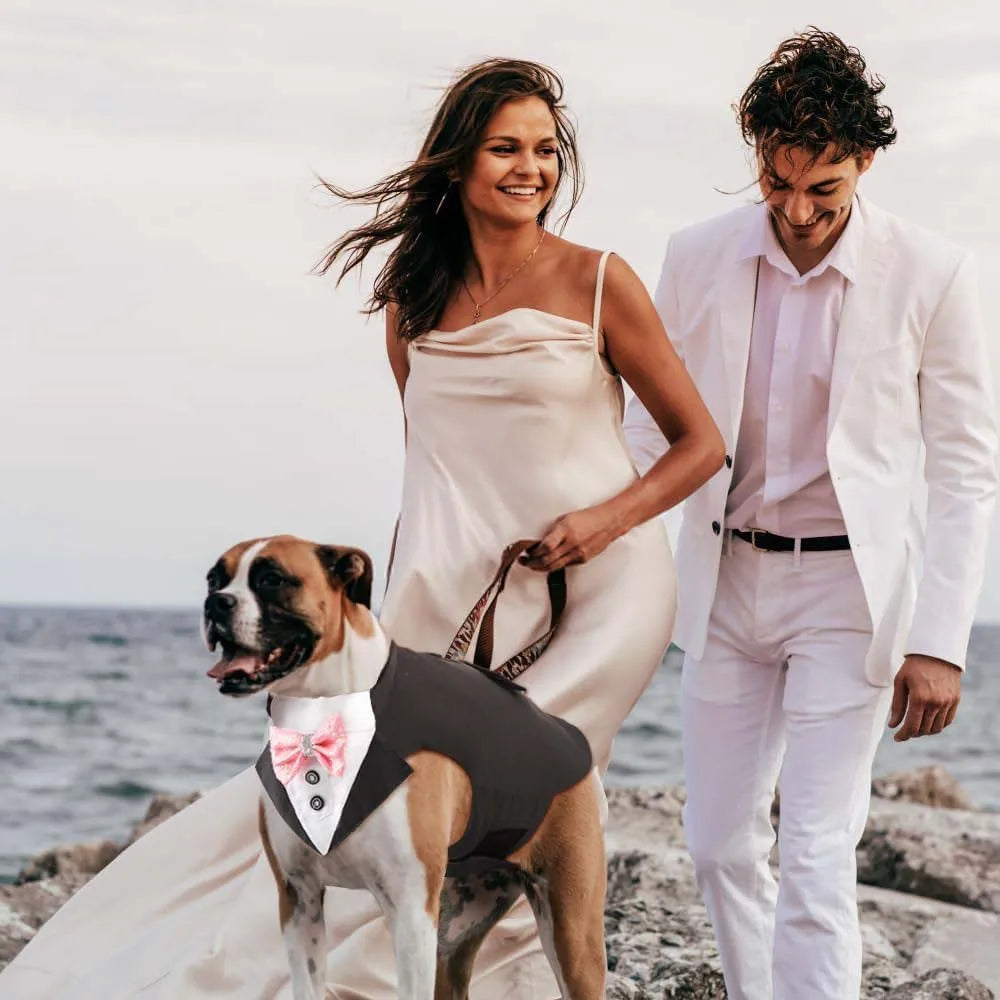 pet tuxedo outfit for dog in formal wedding attire with matching collar, styled for party and premium pet wear