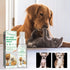 dog hair loss supplement pet hair regrowth spray for dogs and s, non-toxic 30ml safe ingredient, promotes coat growth