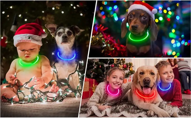 LED dog collar light on festive pets and children with glowing holiday collars
