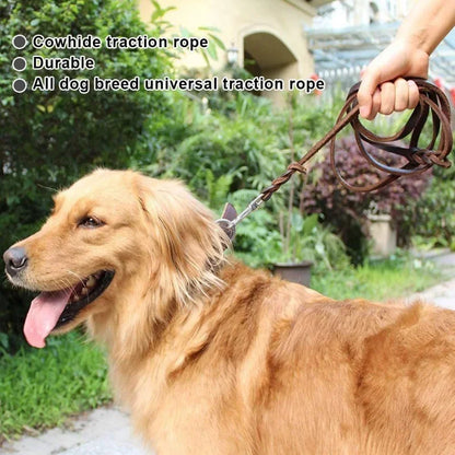 S3f6a1a2235224cae91b82674bb7a32f5d - bestdoggylife.shop