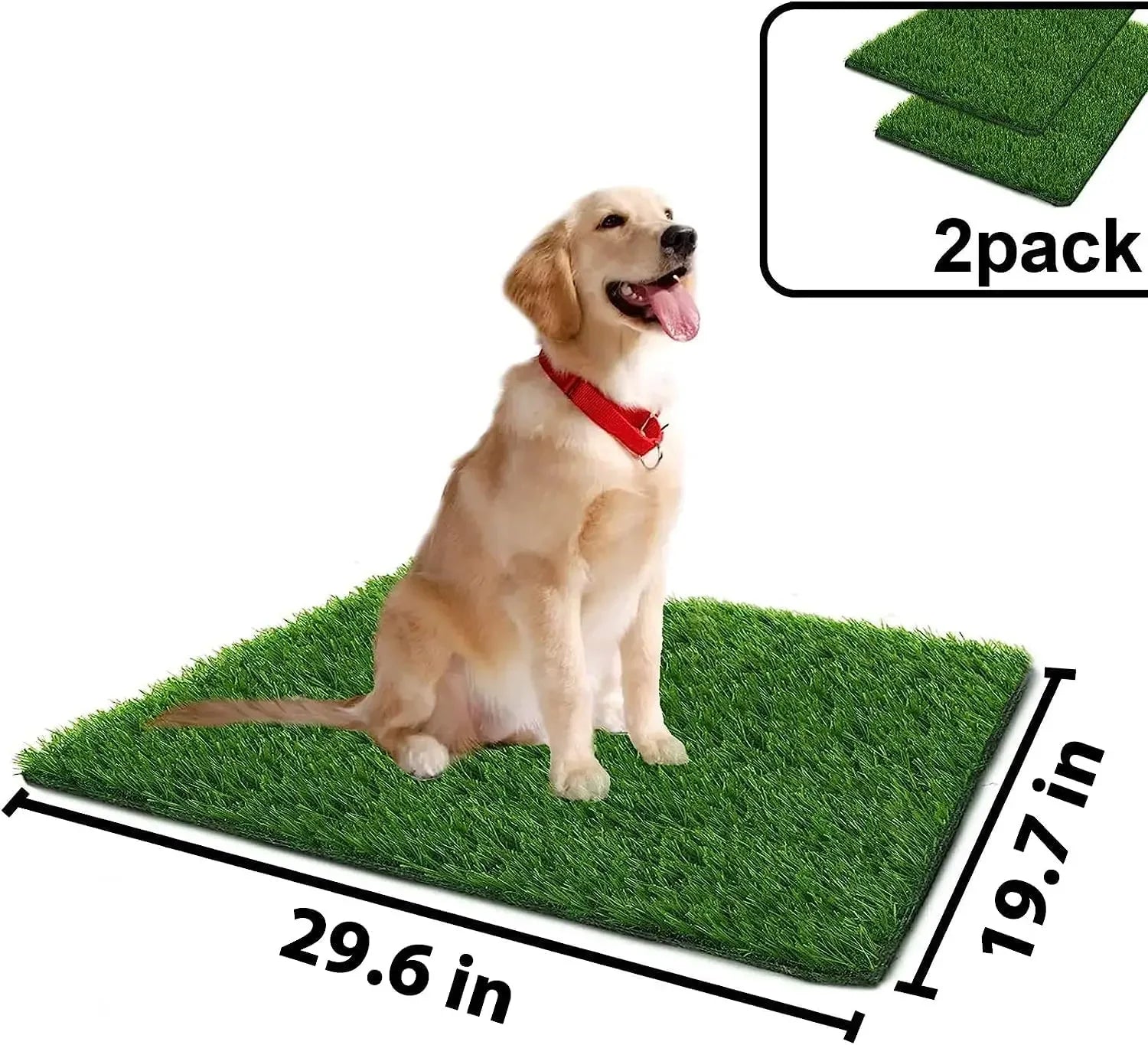 S3f9a11f7109340b192a9c85d917dbf3dq - bestdoggylife.shop