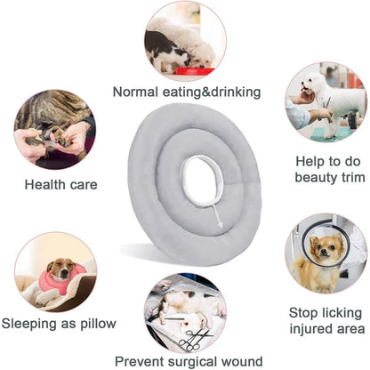 S40126663c1634af694eb4323754e97b0y - bestdoggylife.shop