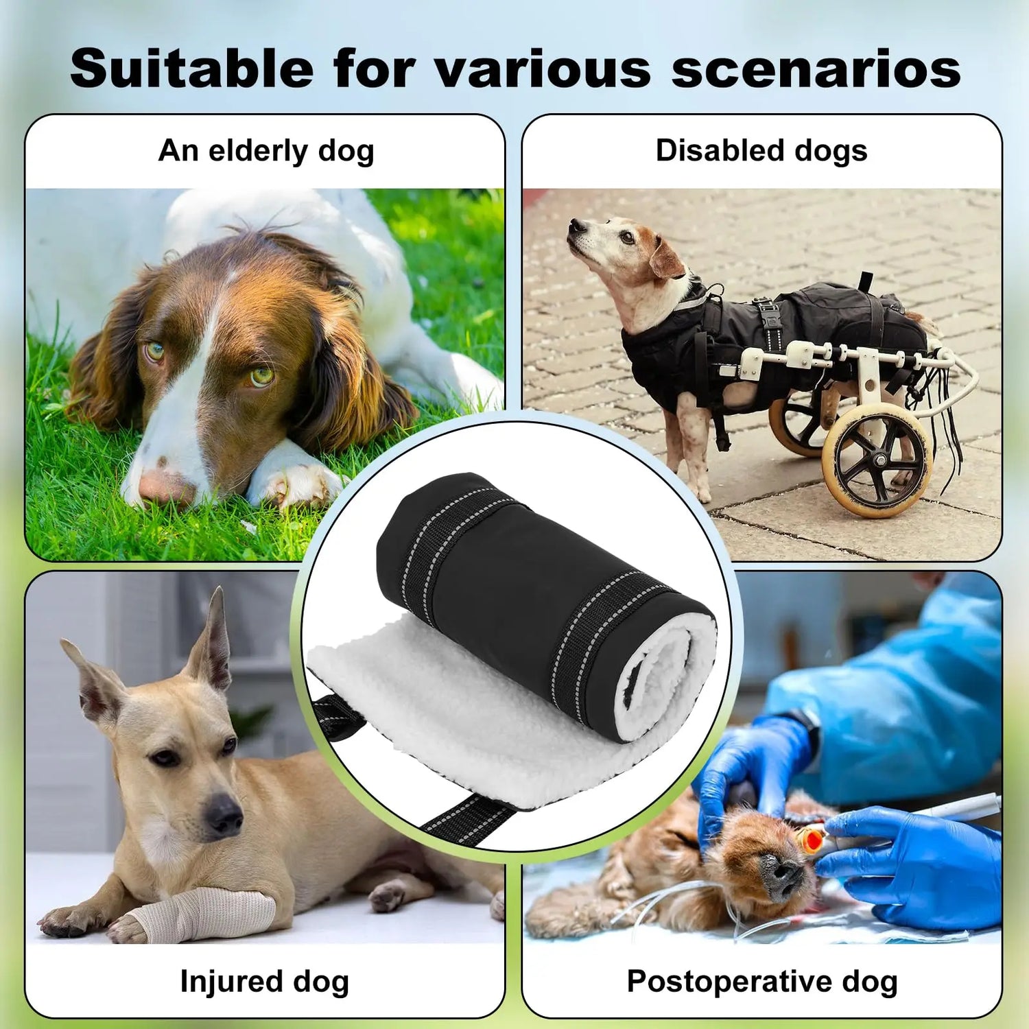 S40211e1b4dbc4098920cec0f73a4bc7cN_af5851c0-f8c2-411c-897b-9beca2f51201 - bestdoggylife.shop