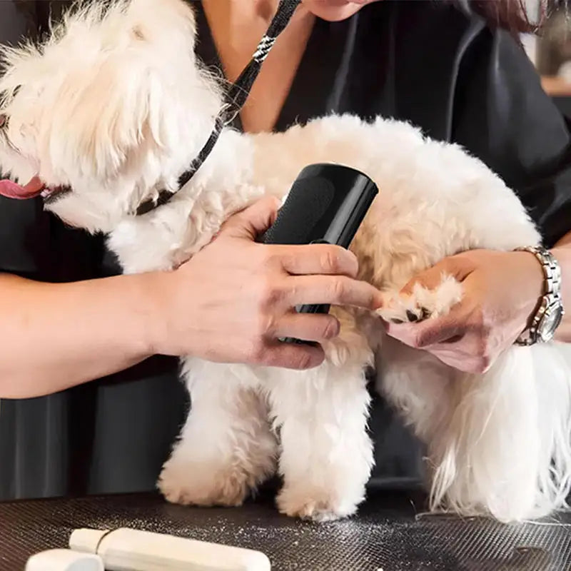 pet deshedding brush for dog grooming, ergonomic hair remover tool for reducing shedding and loose fur