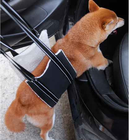 S40de856ea8b948e98b7dbfc29e96788dY - bestdoggylife.shop