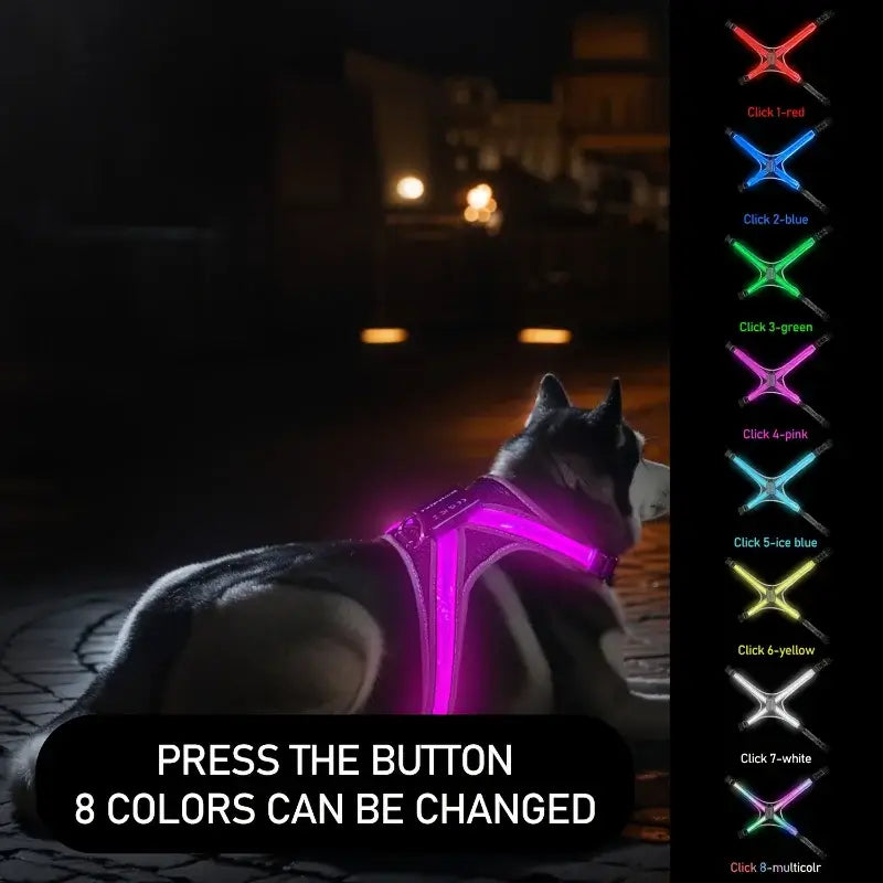 LED dog harness with 8 color flashing lights for night safety, rechargeable luminous vest for dogs