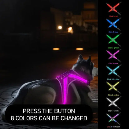 LED dog harness with 8 color flashing lights for night safety, rechargeable luminous vest for dogs