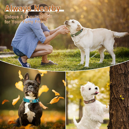 Personalized nylon dog collar for small medium large dogs, adjustable custom engraved pet ID collar